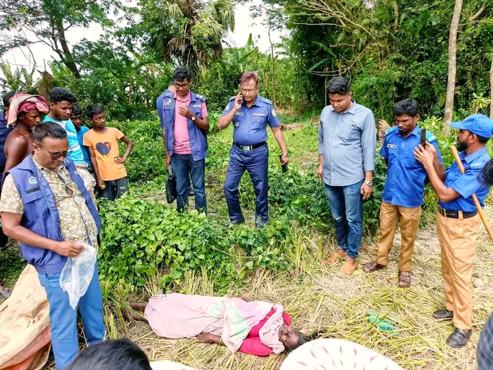 বরগুনা আমতলীতে ধানক্ষেতে মিলল অজ্ঞাত নারীর লাশ