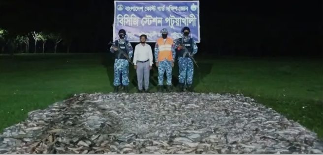 পটুয়াখালীতে ৩৮ লাখ টাকার মাছ ও জাটকা জব্দ করেছে কোস্ট গার্ড