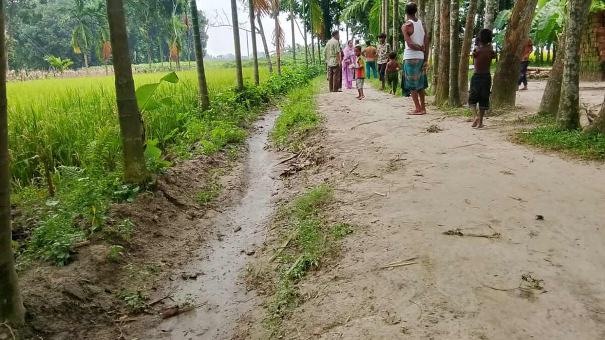 দিনাজপুর বীরগঞ্জে সরকারি রাস্তা দখল, কৃষি আবাদ ও চলাচলে দুর্ভোগ