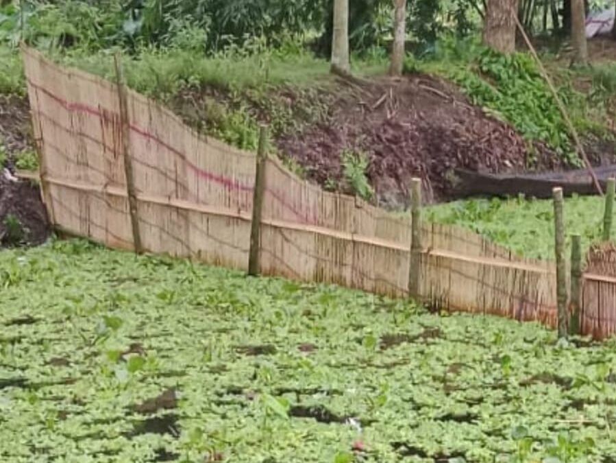 সরকারি খাল দখল করে মৎস্য চাষ