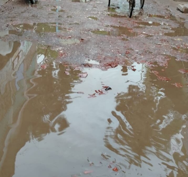 পবিপ্রবির ১নং গেটের প্রধান সড়কের বেহাল দশা, দ্রুত সংস্কারের দাবি