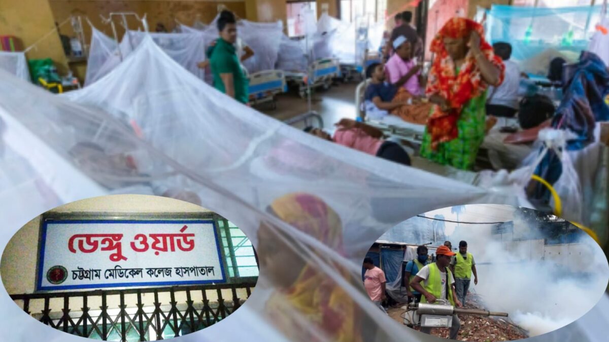 চট্টগ্রামে ডেঙ্গুর চোখ রাঙ্গানী ৪ গুণ বেড়েছে, সিটি করপোরেশনের ভূমিকা প্রশ্নবিদ্ধ