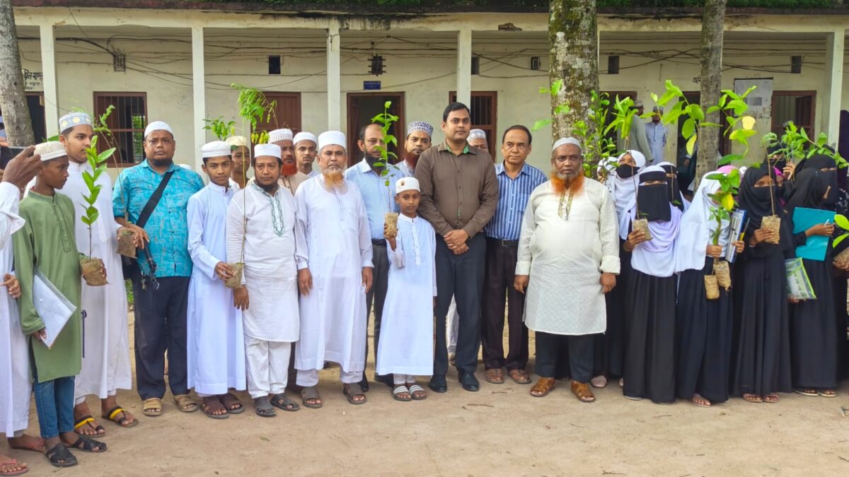 কুমিল্লার বরুড়ায় মানবসেবা সামাজিক সংগঠনের পক্ষ থেকে দুই শতাধিক  বৃক্ষ বিতরণ
