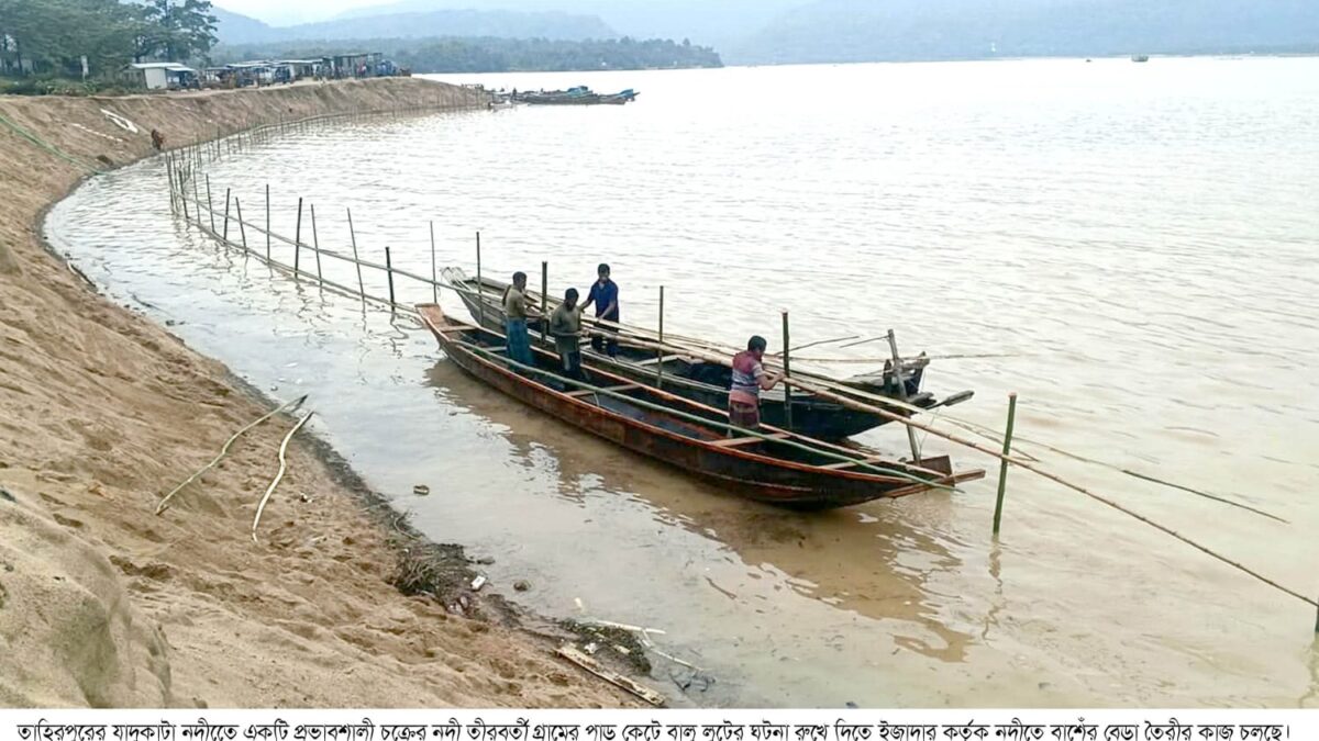 যাদুকাটা নদীতে অবৈধভাবে নদী পাড় কাটার বিরুদ্ধে ইজারাদারদের নদীতে বাশেঁর বেড়া তৈরী চলছে