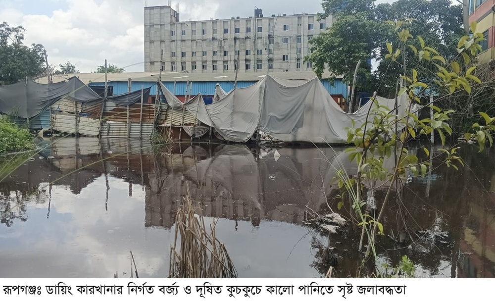 ইটিপি চালু রাখার দাবি! রূপগঞ্জে ডায়িং কারখানার বিরুদ্ধে পরিবেশ বিপন্নের অভিযোগ \ পানি দূষণে মাছের মৃত্যু ও ফসলি জমি ক্ষতিগ্রস্থ