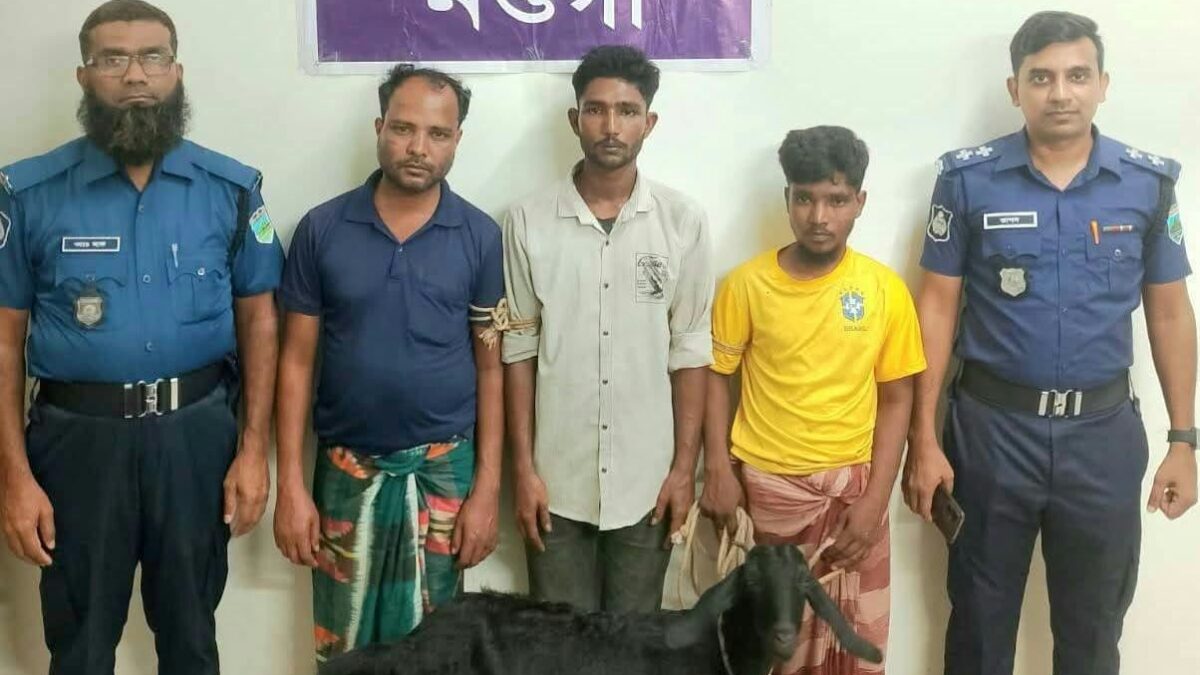 নওগাঁর পত্নীতলায় পুলিশের অভিযানে চোরাই ছাগল উদ্ধারসহ ৩ জন গ্রেফতার